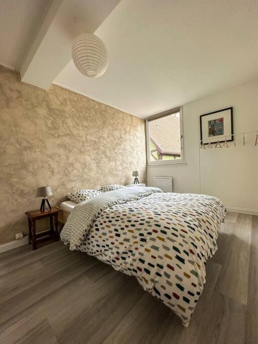 Nouvel Appartement, Le Colombage Heureux Sélestat Dış mekan fotoğraf