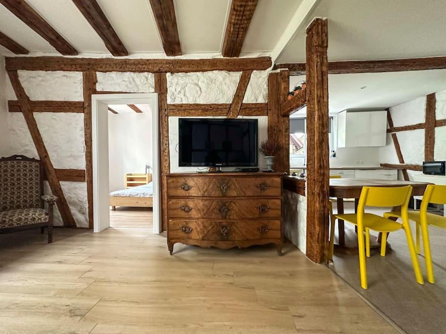 Nouvel Appartement, Le Colombage Heureux Sélestat Dış mekan fotoğraf