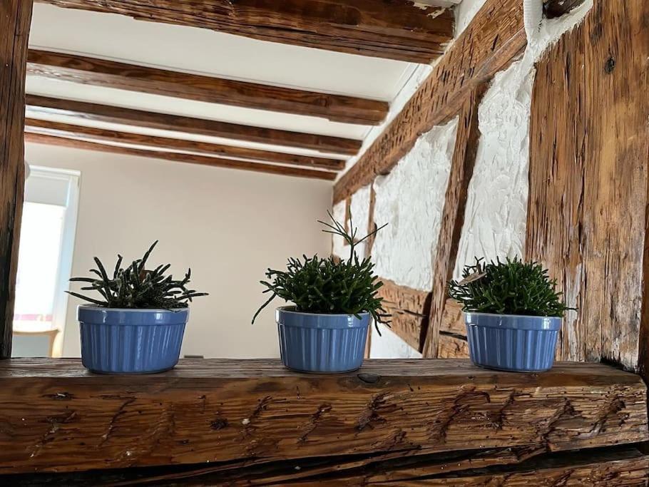 Nouvel Appartement, Le Colombage Heureux Sélestat Dış mekan fotoğraf