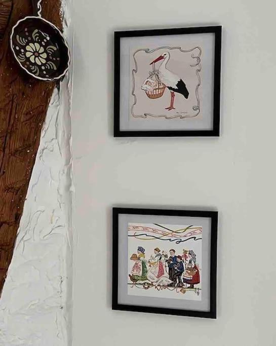 Nouvel Appartement, Le Colombage Heureux Sélestat Dış mekan fotoğraf