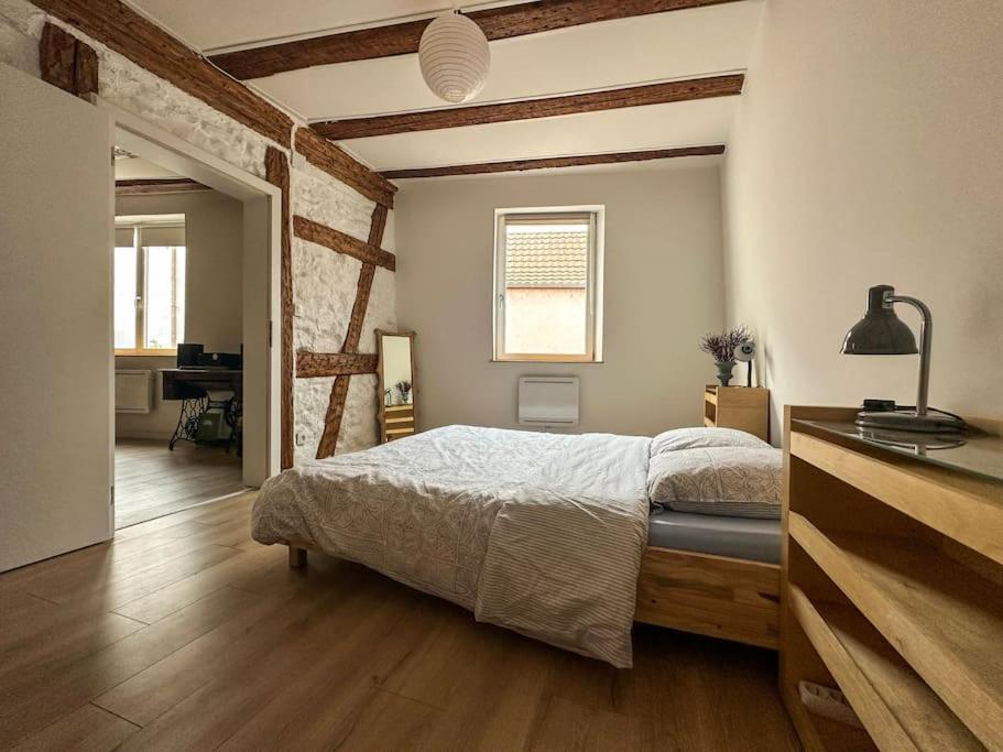 Nouvel Appartement, Le Colombage Heureux Sélestat Dış mekan fotoğraf
